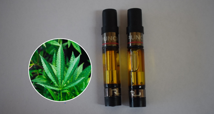 ISP detecta potente variante sintética del cannabis en Chile
