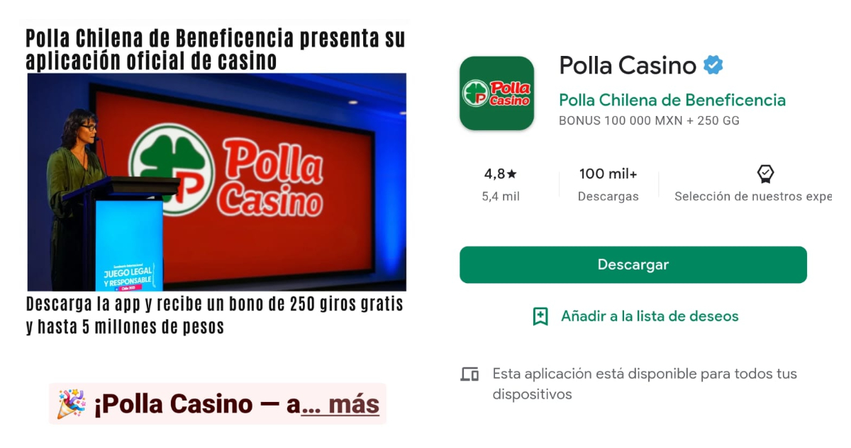 Polla Chilena en guerra con casas de apuestas en línea: presentan querella por suplantación