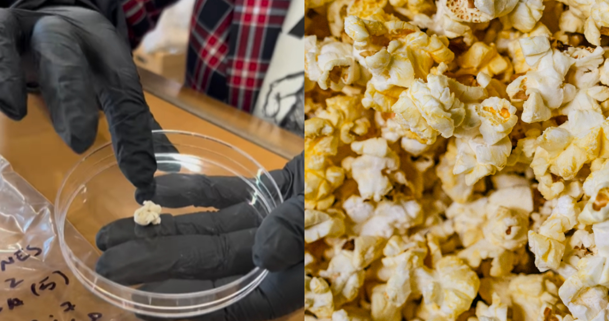 Popcorn, cabritas