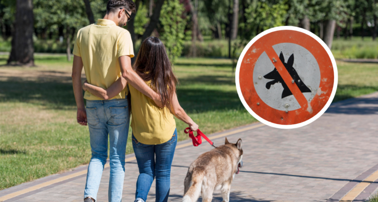 Por qué Irán prohíbe pasear a perros: romper las reglas puede llevar a sus dueños a la cárcel