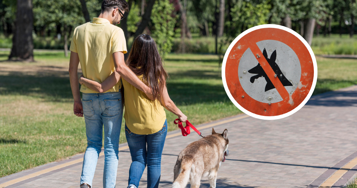 Por qué Irán prohíbe pasear a perros: romper las reglas puede llevar a sus dueños a la cárcel