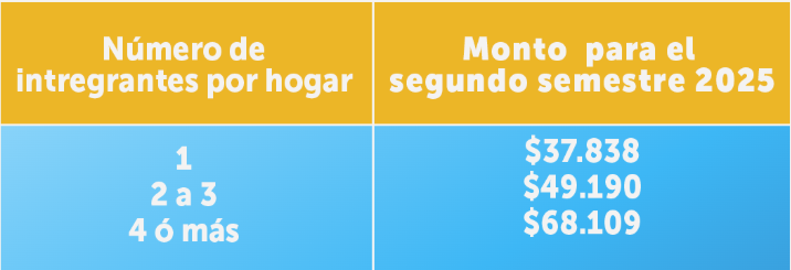 Cómo y cuándo postular al tercer Subsidio Eléctrico ¿Quiénes lo recibirán automáticamente?