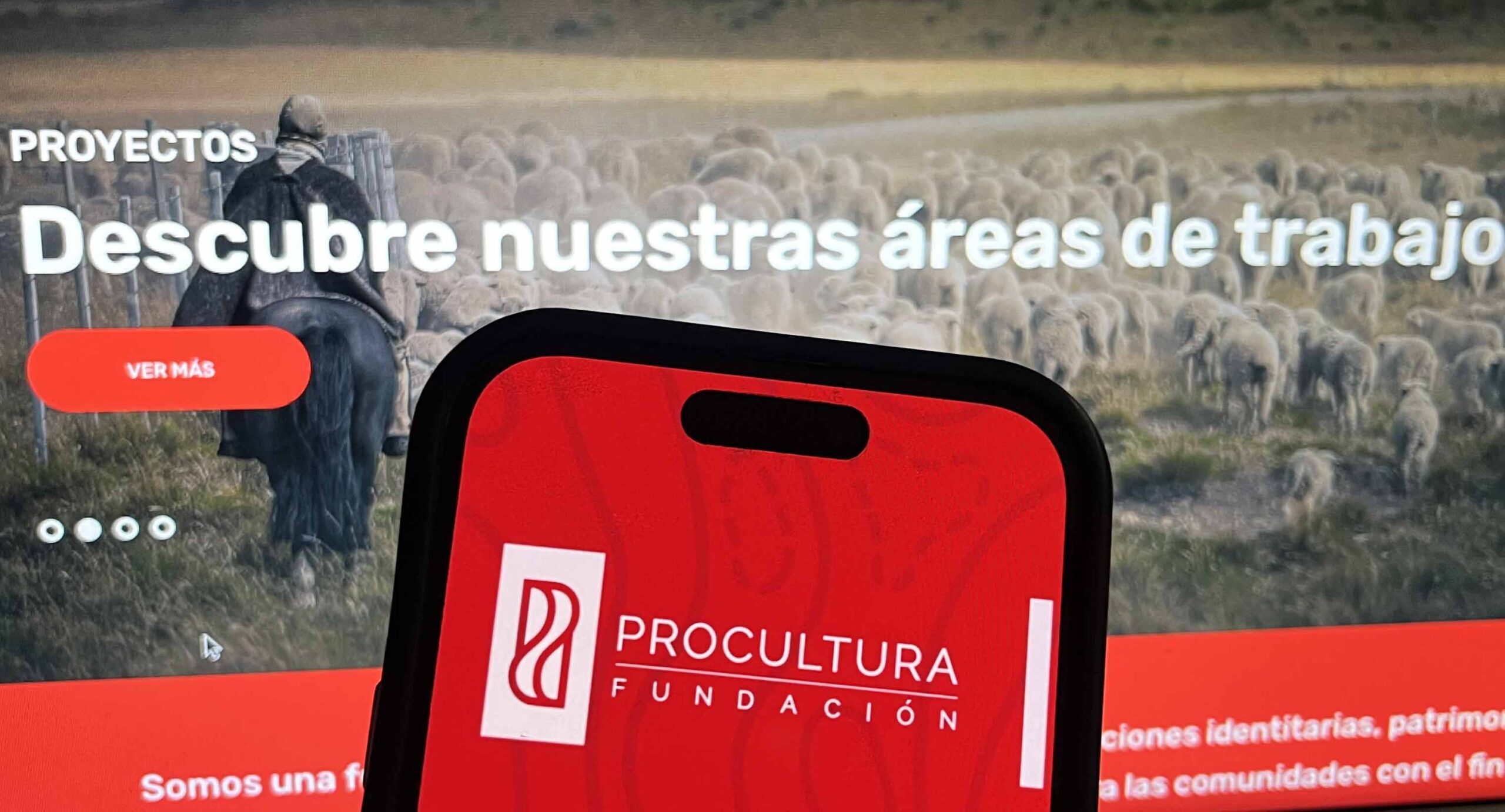 Celular y computador muestra página de ProCultura.