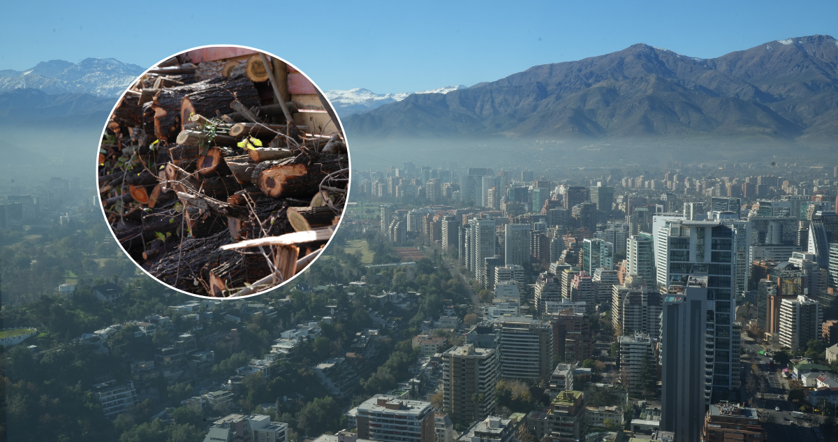 Anglo American inicia plan para reemplazar 57 mil estufas a leña por calefactores limpios en la RM