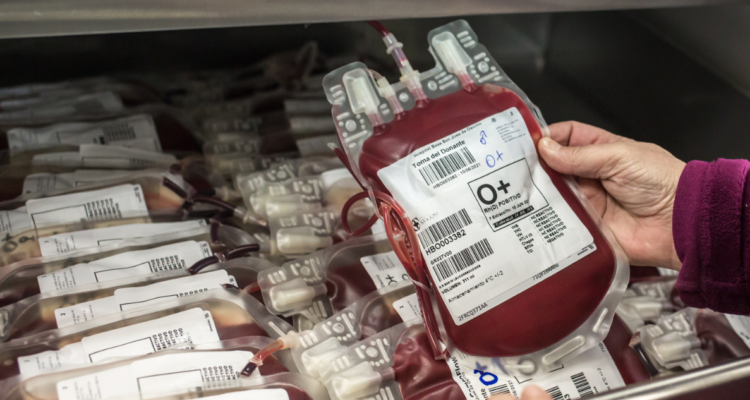 Cuáles son los requisitos para donar sangre en Chile y de qué forma se utiliza