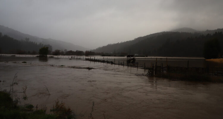 Senapred activa alerta SAE para evacuar sectores de Arauco por desborde de río Pichilo