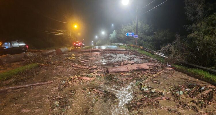 Más de 130 viviendas resultaron con daños en la Región del Bío Bío tras paso del sistema frontal