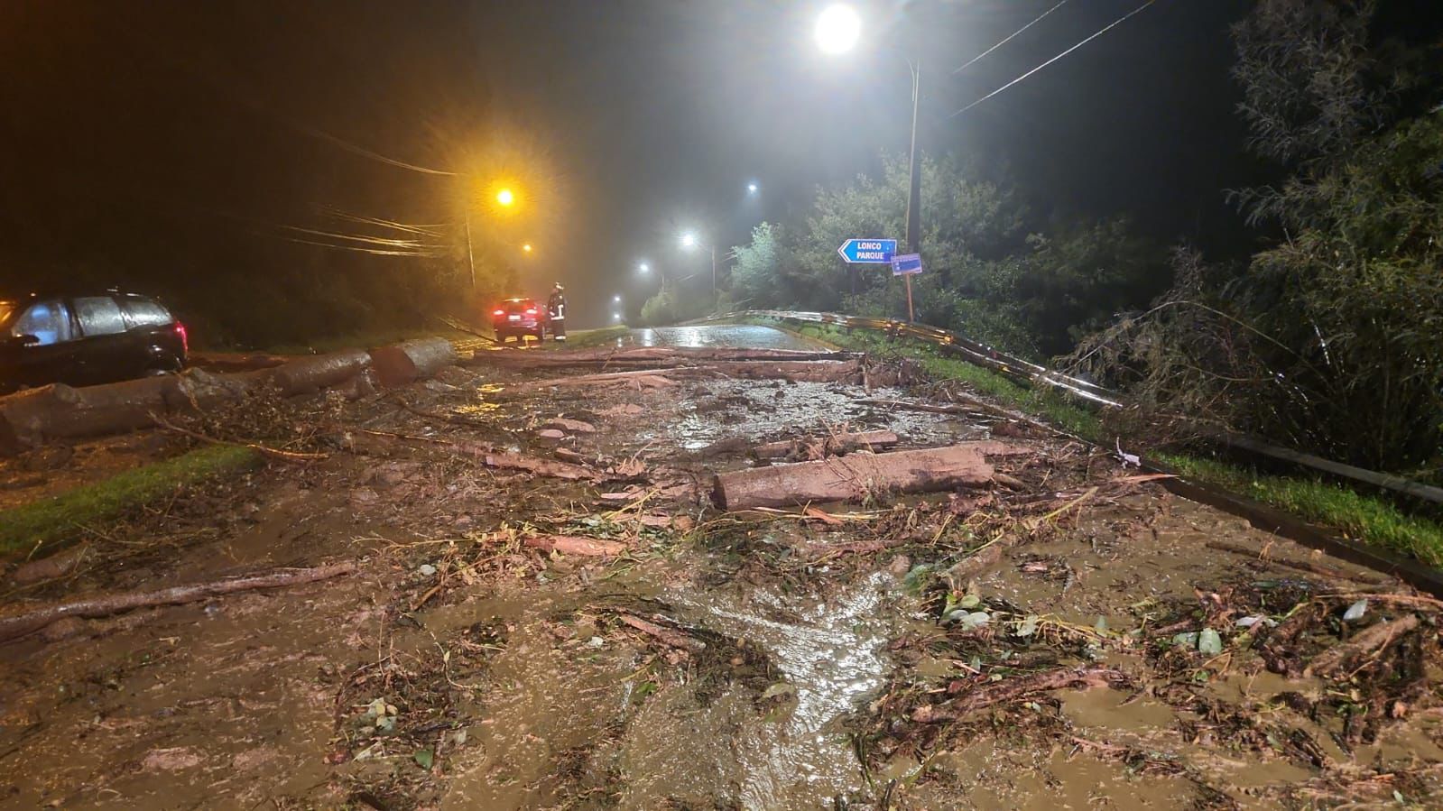Más de 130 viviendas resultaron con daños en la Región del Bío Bío tras paso del sistema frontal