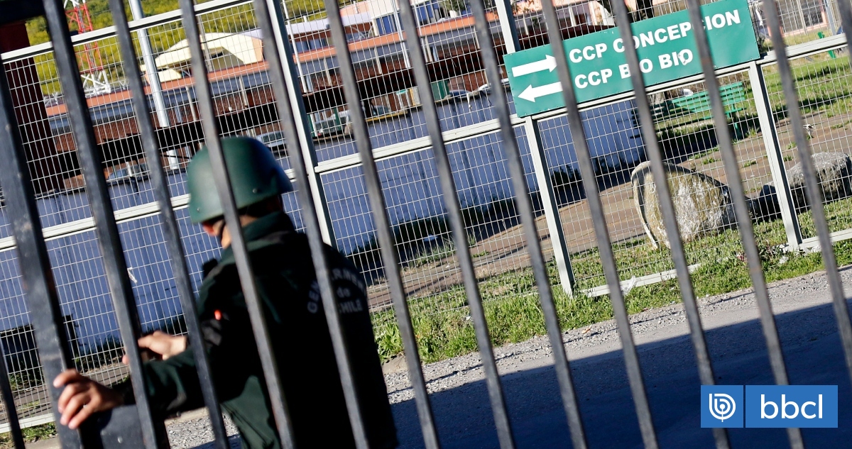 Hallan ahorcado a hombre imputado por matar a su hijastro TEA de 10 años en Talcahuano