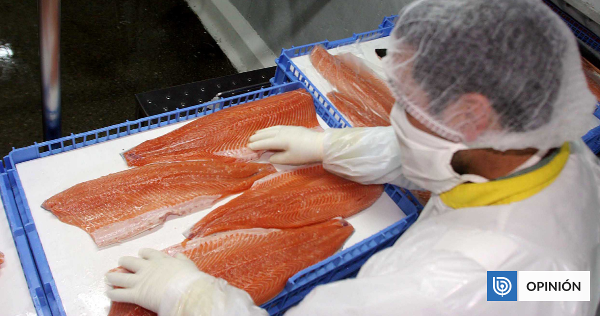 Chile en Japón y la epifanía del salmón