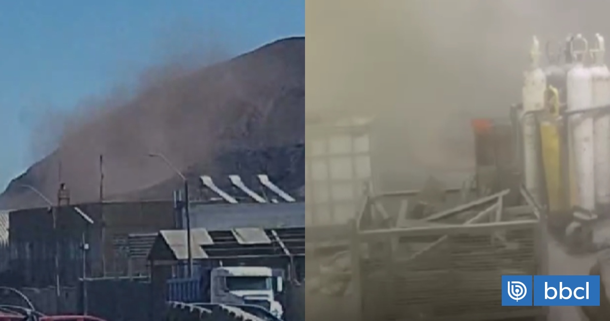 Derrumbe de piedras, evacuación y caída de objetos: los videos del fuerte sismo en el norte del país