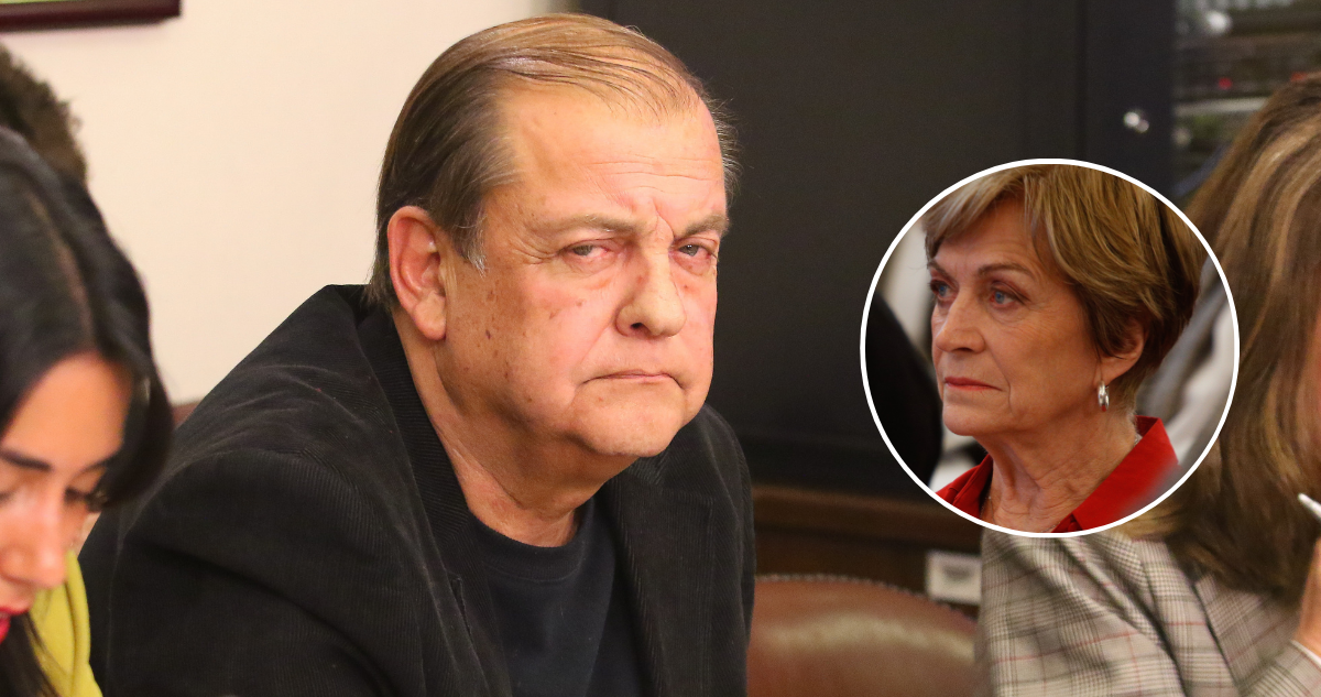 Tras crítica a Matthei a TVN: Vidal dice que sectores de derecha le tienen tirria a empresas públicas