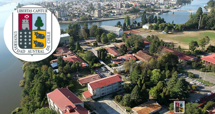 Imagen de la Universidad Austral por segunda vuelta para elegir rector o rectora