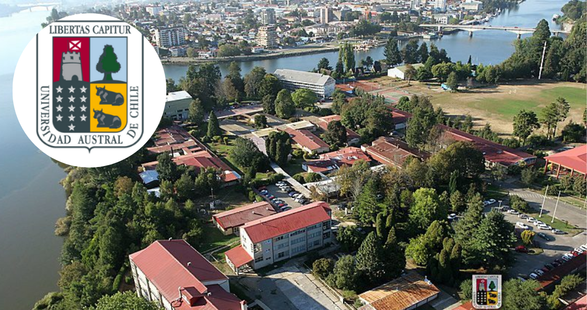 Imagen de la Universidad Austral por segunda vuelta para elegir rector o rectora