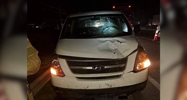 Un fallecido dejó atropello en la Ruta 5 Sur a la altura de Chillán Viejo: SIAT indaga el hecho