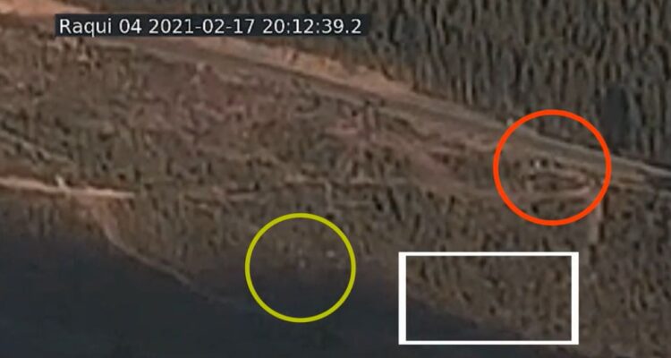 Caso Tomás Bravo: defensa de tío abuelo revela video clave que apuntaría a un tercero en desaparición