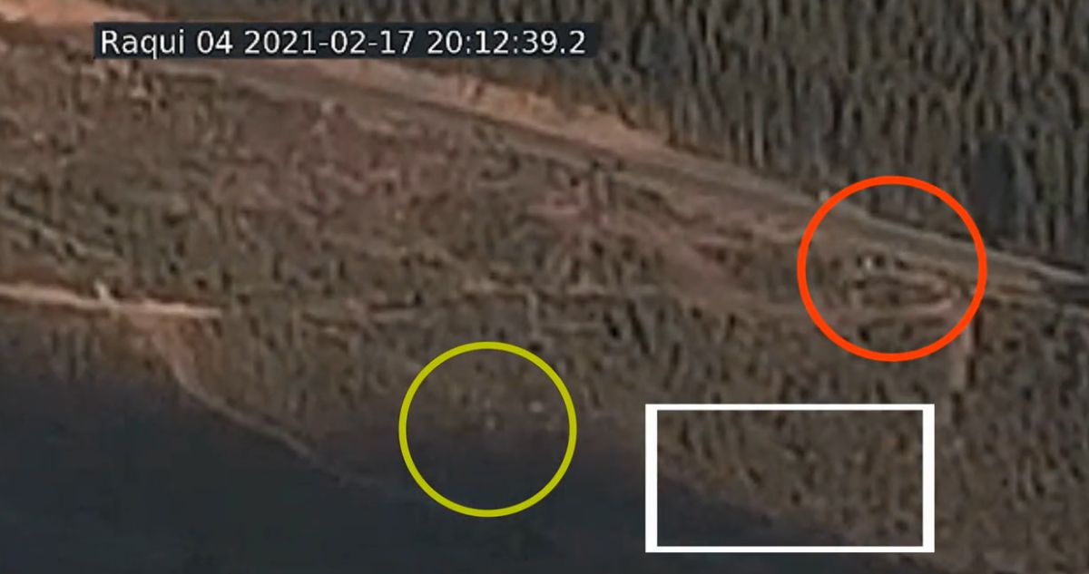 Caso Tomás Bravo: defensa de tío abuelo revela video clave que apuntaría a un tercero en desaparición