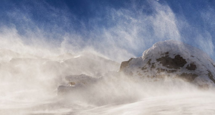 Viento blanco