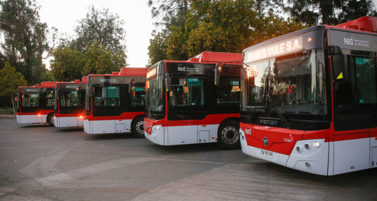 Buses RED