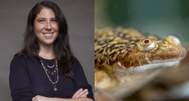 Académica chilena recibe distinción internacional por su investigación en neurociencia regenerativa