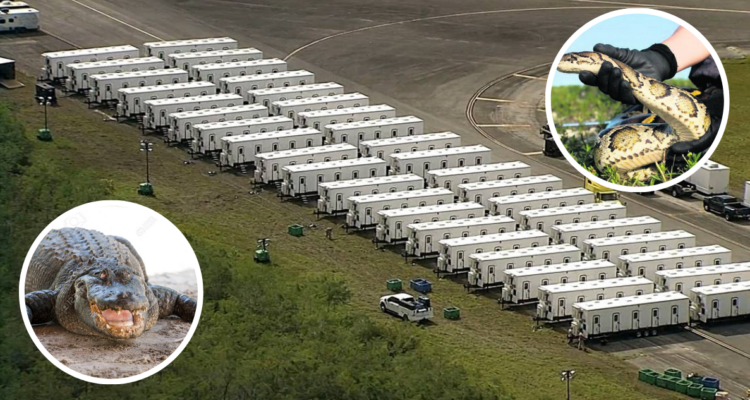 Presentan la cárcel Alligator Alcatraz en EEUU