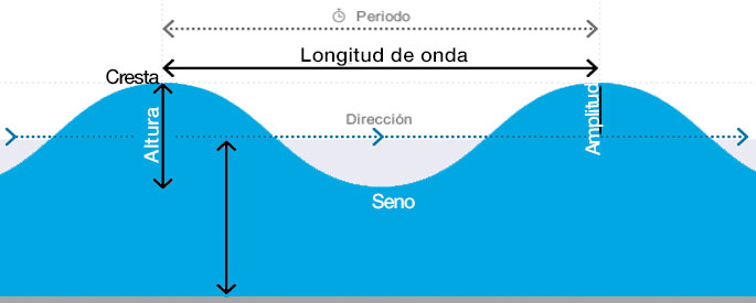 Altura y amplitud de ola