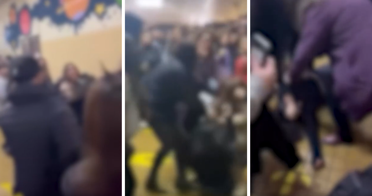 Alumnas protagonizan violenta riña en liceo de Mulchén: una debió ser atendida en hospital