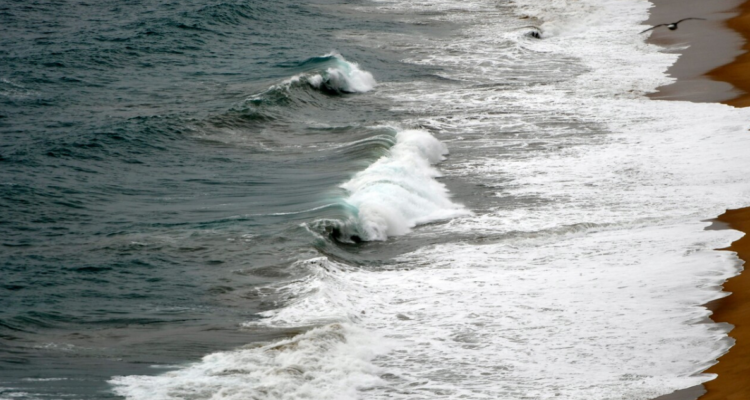 Tsunami en Chile: esta es la diferencia entre amplitud y altura de ola (y por qué es importante)