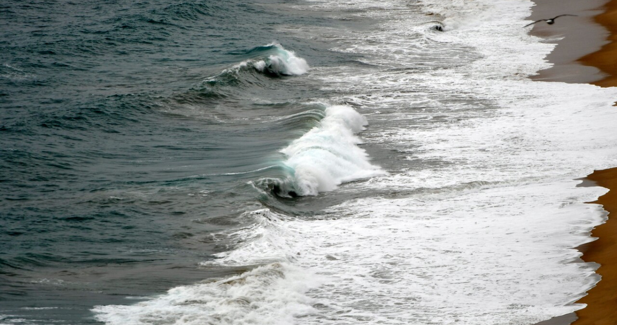 Tsunami en Chile: esta es la diferencia entre amplitud y altura de ola (y por qué es importante)