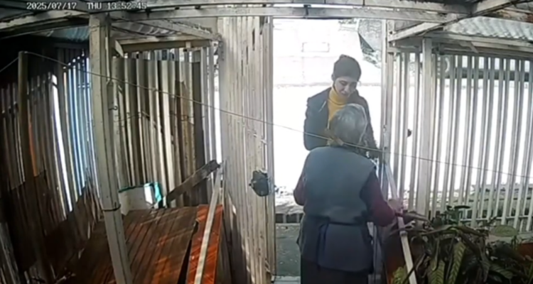 En Lota, una anciana fue asaltada en su hogar por una mujer que solicitó agua, para luego robar su anillo de matrimonio, un aro y su pensión.