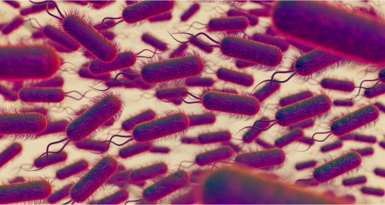 Descubren gen que resiste a los antibióticos y se expande por el mundo