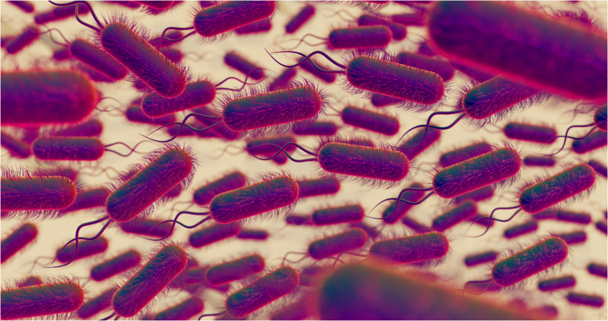 Descubren gen que resiste a los antibióticos y se expande por el mundo