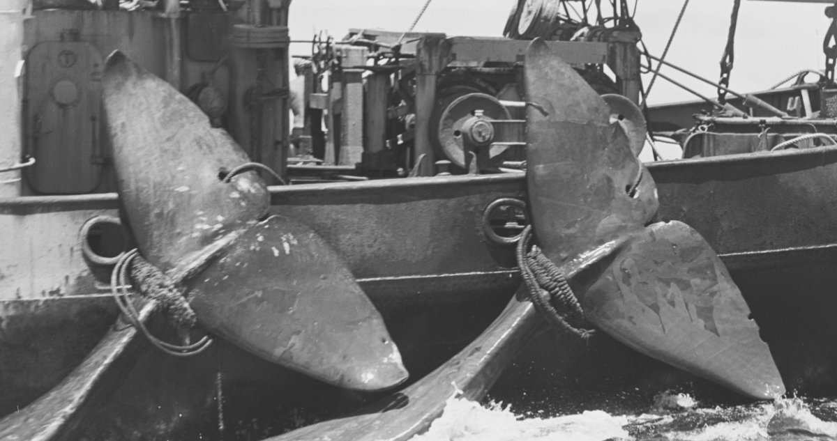 Aletas de ballenas en un barco ruso