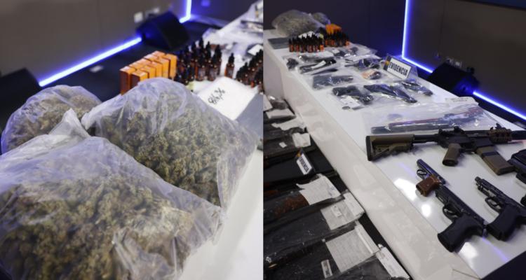 Desarticulan banda en Lo Espejo: 15 detenidos e incautan 11 vehículos y 640 plantas de cannabis