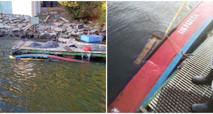 Barcaza hunde por accidente a otra embarcación en Valdivia: menor consiguió saltar justo a tiempo