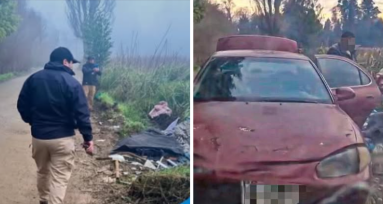Municipalidad de Valdivia anunció acciones contra sujeto que fue sorprendida botando basura en humedal