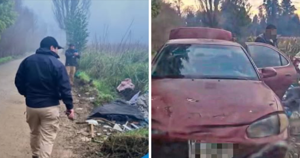 Municipalidad de Valdivia anunció acciones contra sujeto que fue sorprendida botando basura en humedal