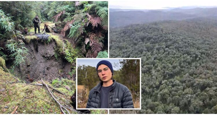 Búsqueda de universitario en Chiloé