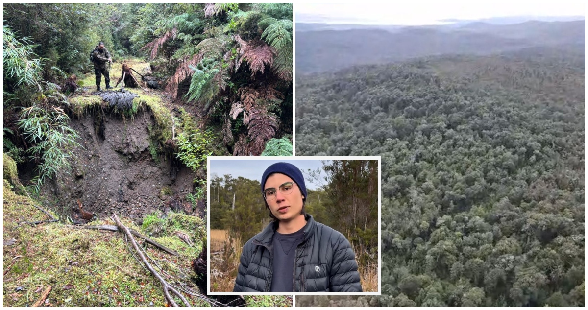 Búsqueda de universitario en Chiloé