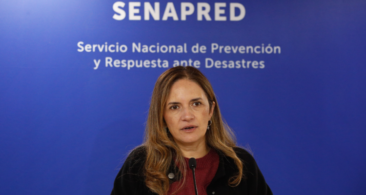 Cancelan estado de precaución por tsunami para Territorio Antártico: se mantiene para Magallanes