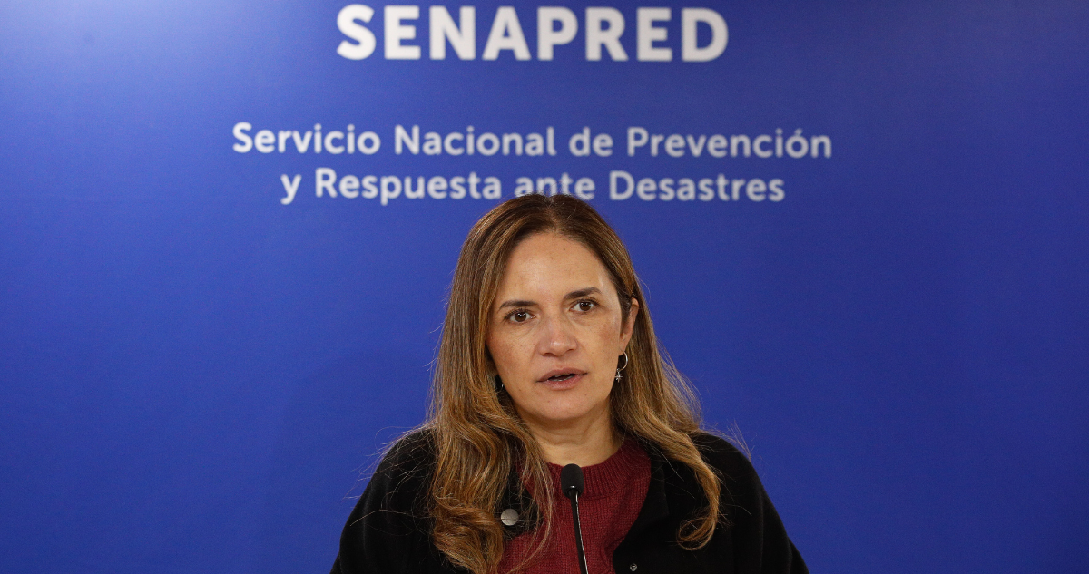 Cancelan estado de precaución por tsunami para Territorio Antártico: se mantiene para Magallanes