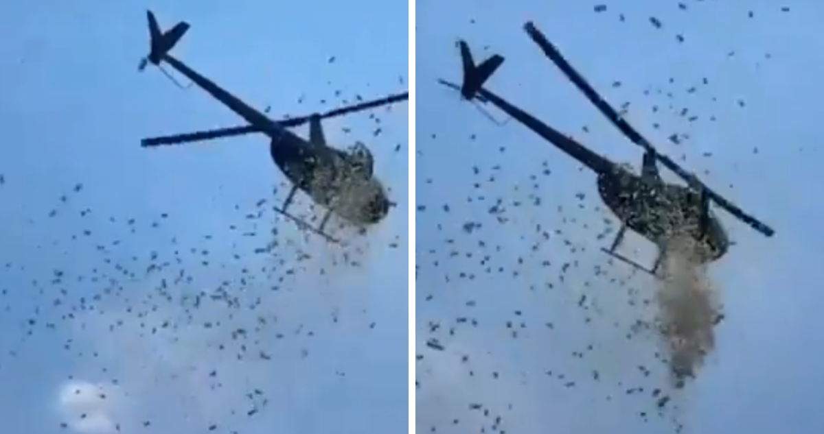 Captan helicóptero lanzando miles de dólares a personas en EEUU: era último deseo de empresario