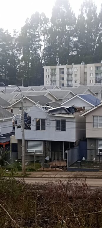 Familia pide recuperar su casa luego que le cayera un árbol encima