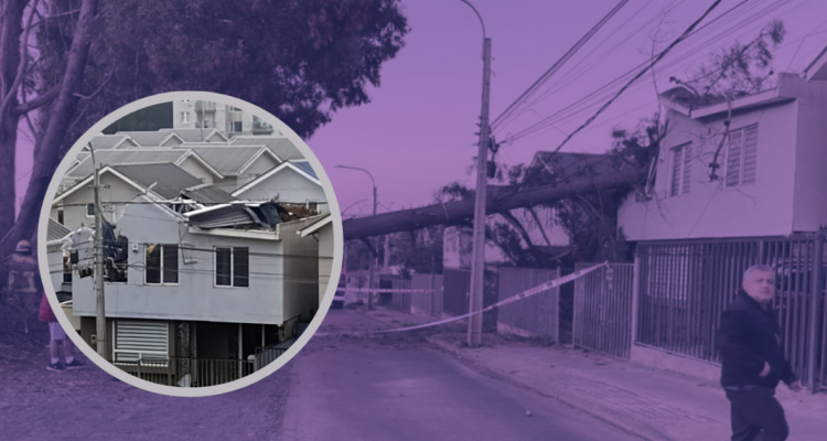 Un gigantesco árbol cayó sobre su casa y responsables aún no la reparan: llevan 4 meses viviendo fuera