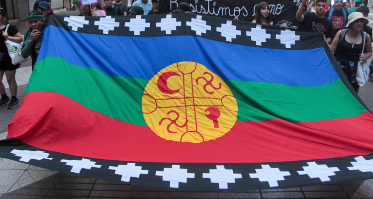 Comunidades mapuches presentan recurso para obtener mayor representatividad en Consulta por Nuevo Sistema de Tierras