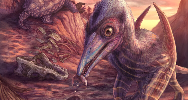 Ilustración de la nueva especie descubierta