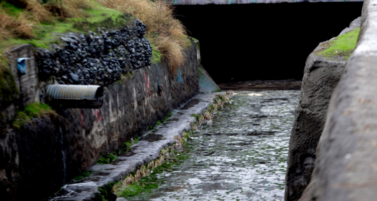 Declaran al sector Pichil de Osorno como una zona de riesgo sanitario por mal manejo de aguas servidas