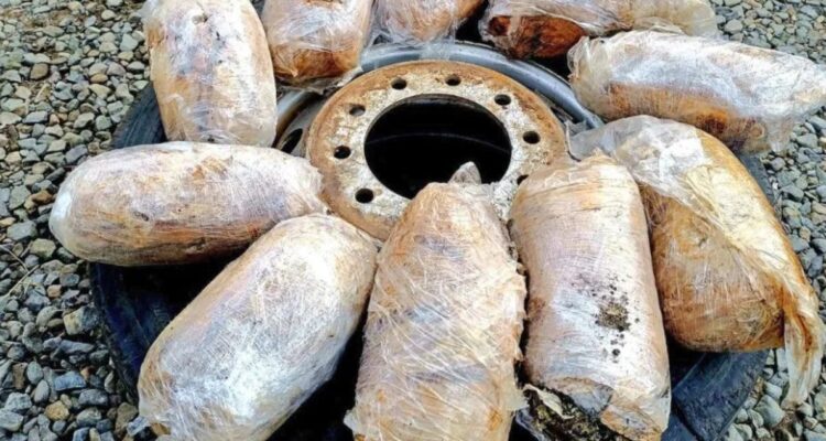 Descubren más de 30 kilos de marihuana siendo trasladados al interior de neumáticos en Los Vilos