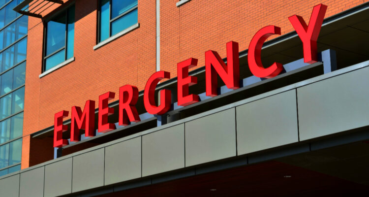 EEUU reporta primera muerte por peste bubónica en 2025: enfermedad devastó la humanidad el siglo XIV