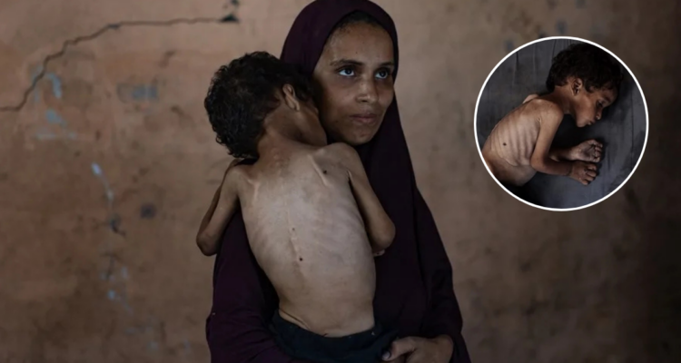 Nuestro genocidio: ONG israelíes acusan por primera vez a su país de limpieza étnica en Gaza